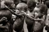 imagen pequeña : Genocidio contra Biafra