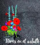 imagen pequeña : Flores en el asfalto